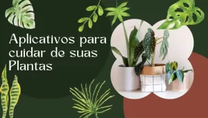 cuidados com as plantas