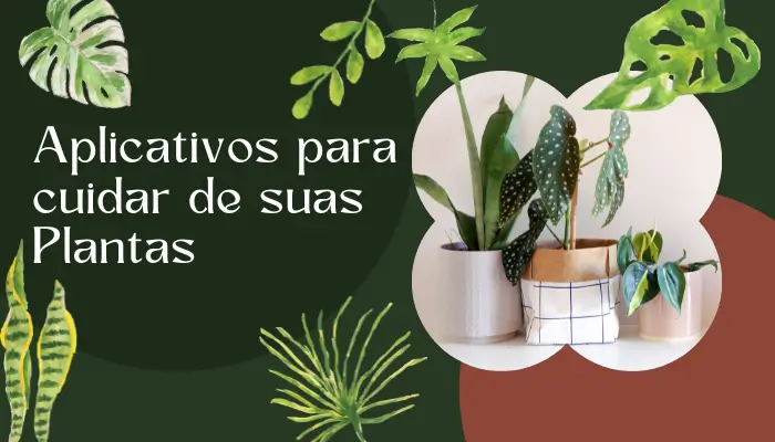 cuidados com as plantas