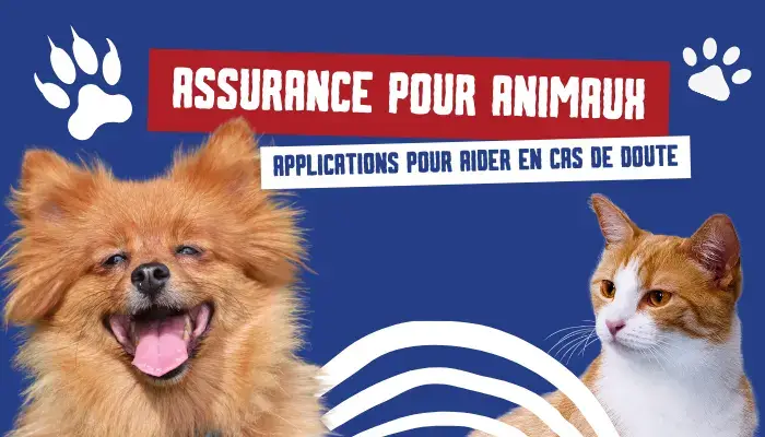 Assurance Pour Animaux